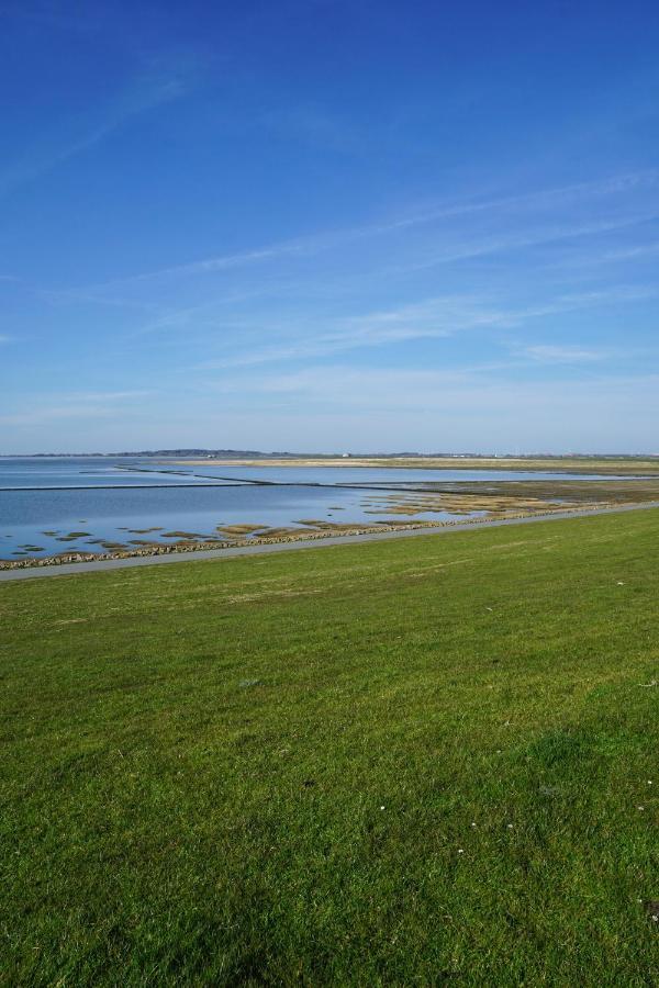 Ferienhus #1 Nordfriesland Apartment Mildstedt Ngoại thất bức ảnh